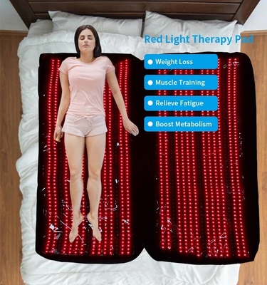 360pcsLED DIP Painel de terapia de luz vermelha para alívio de corpo inteiro US Plug Type Docking 110-240