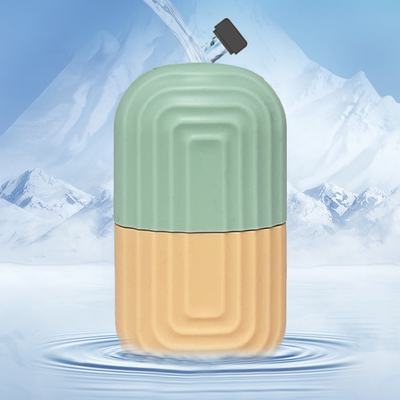 Refrigerador Face Roller Ice Cube Mold Holder para Derma Rolling System para remover rugas
